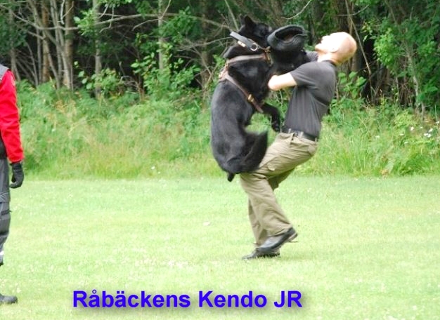 kendojr.jpg